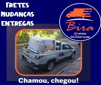 empresa de mudança
